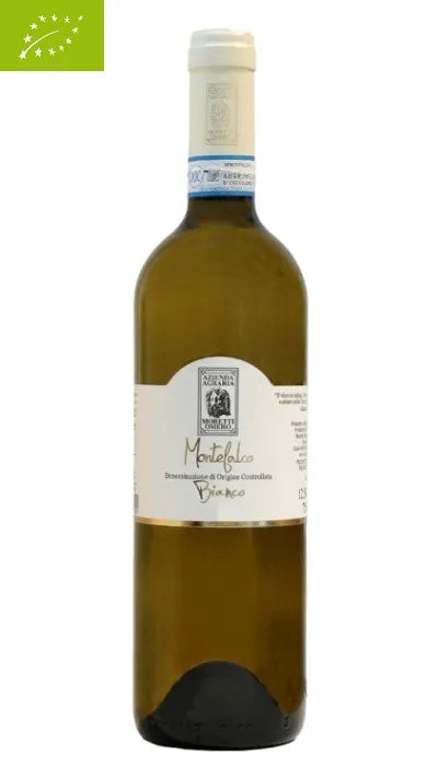 Montefalco Bianco Bio DOC - Moretti Omero - yvino