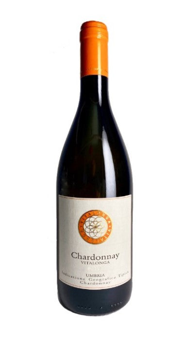 Chardonnay - Vitalonga - yvino