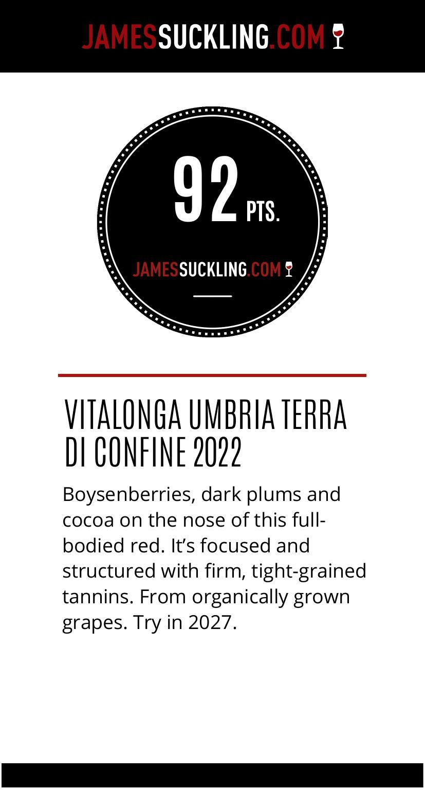 Terra di Confine - Vitalonga - yvino